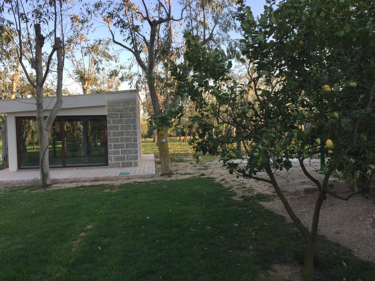 Tenuta Monaci La Murra Carmiano  Εξωτερικό φωτογραφία